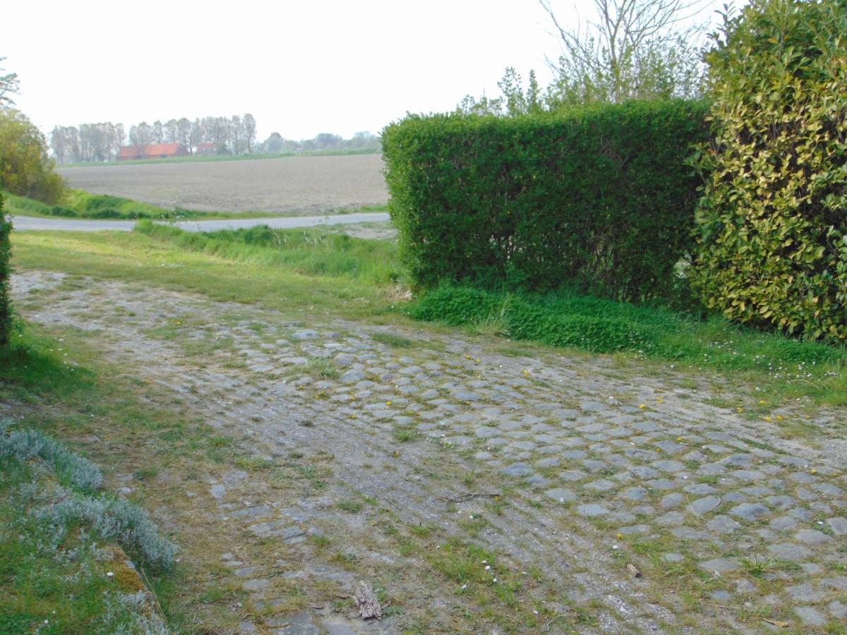 Polderhuis Voor 8-10 Personen Aan Zee Nieuwvliet Exterior photo